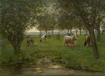 Grazing Calves